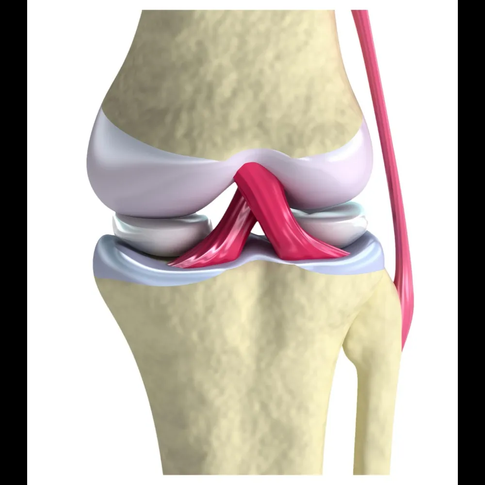 Osteoarthritis Care in Noida: Managing Joint Pain ...