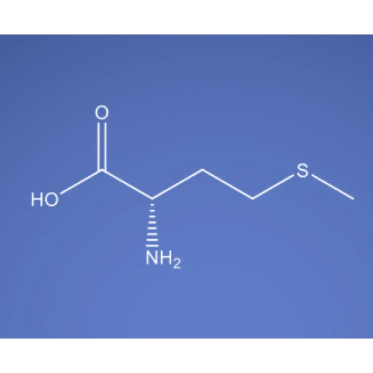 L Methionine About Us Your Trusted Partner in Prem...