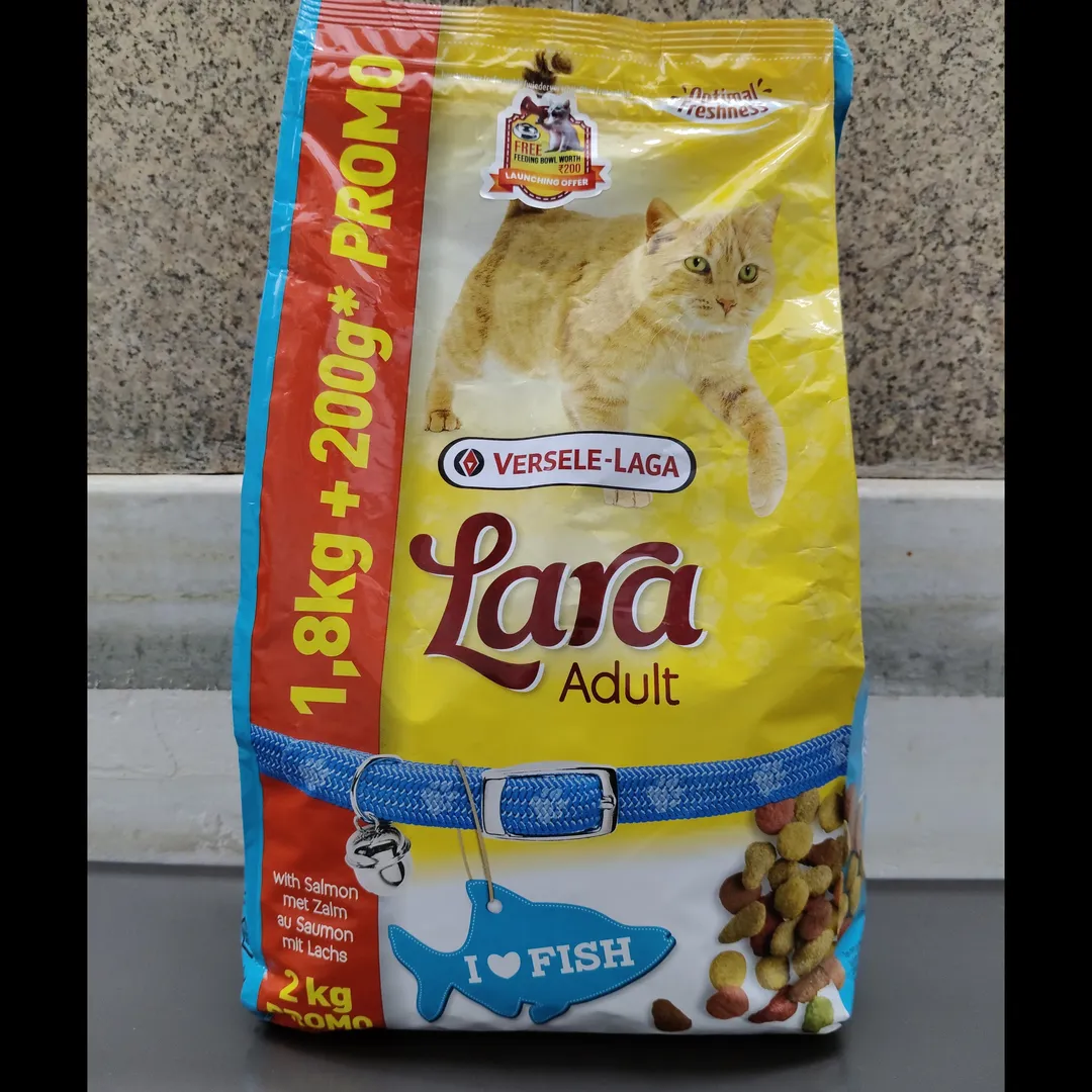 Adult Cat Food in Malad West – Delicious & Nutriti...