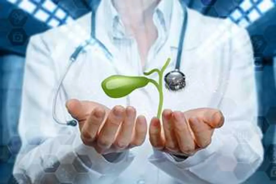 Gallbladder Specialist in Kurla – Struggling with ...