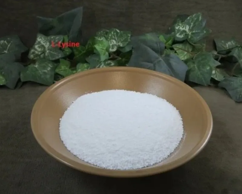 L Lysine HCL IMPORTER About Us Welcome to YNP In...