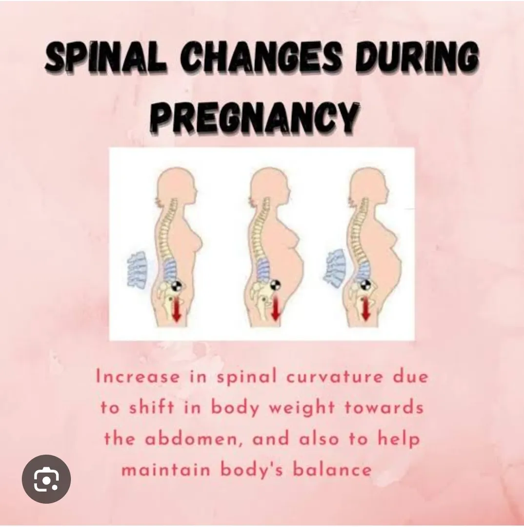 During pregnancy, the spine undergoes several anat...