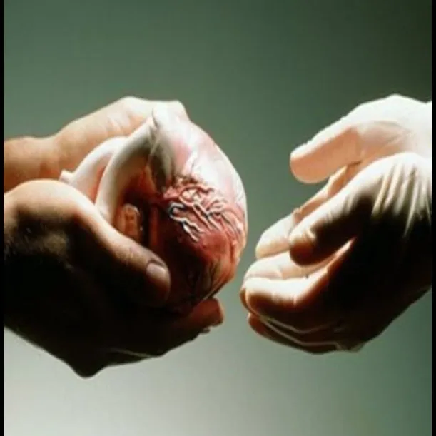 Heart Transplantation in Pune – Life-Saving Cardia...