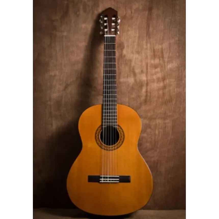 Acoustic Guitar Dealers in Bengaluru