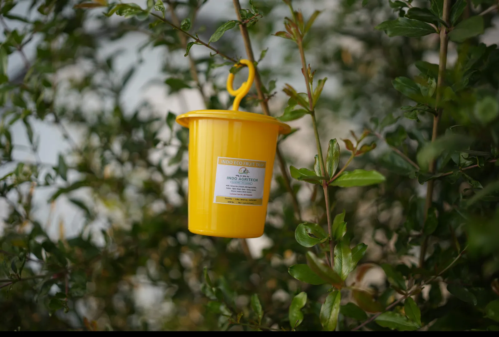 INDO ECO FRUIT FLY TRAP