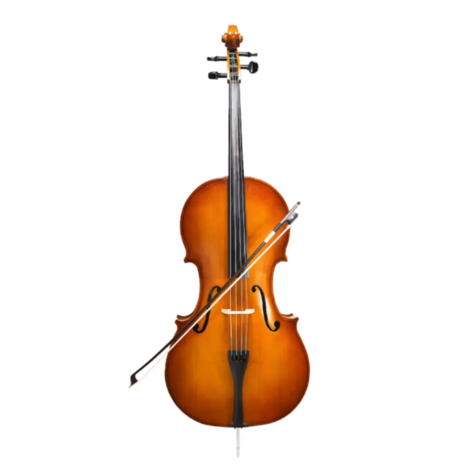 Violin Dealers in Bengaluru