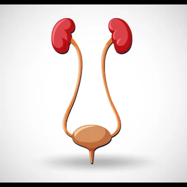 Best Urology Clinic in Thane – Complete Care Under One Roof