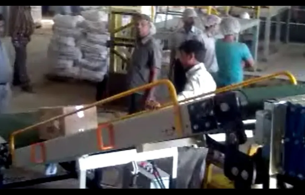 Belt Conveyors