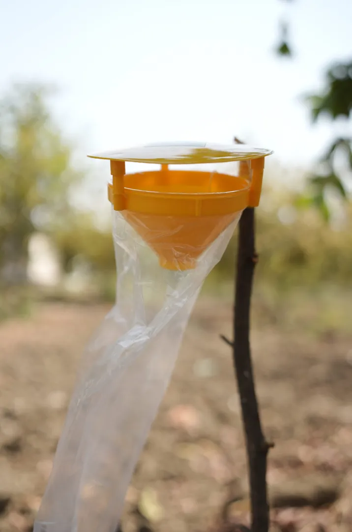 INDO PHEROMONE TRAP