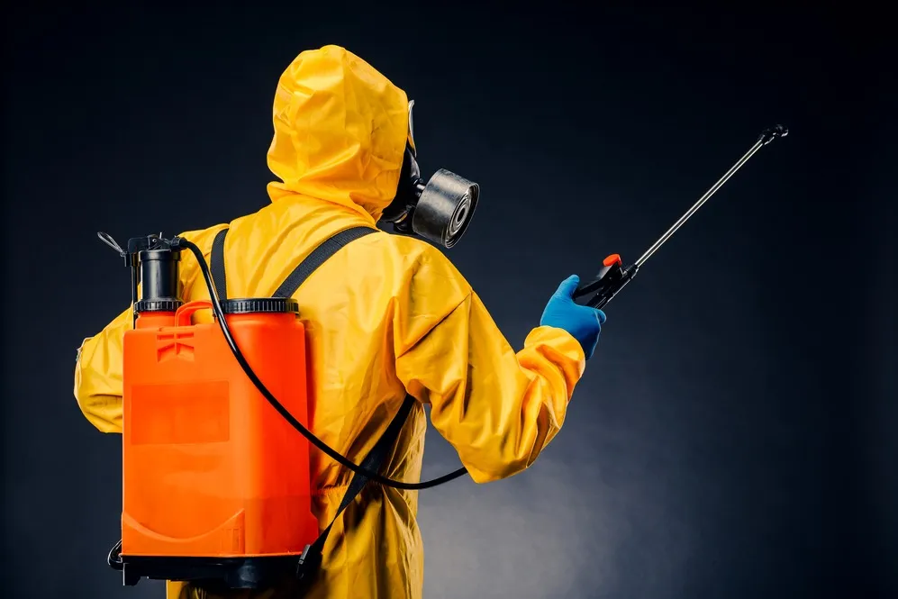 Fight Pests Effectively with Trusted Foggers in Ghaziabad