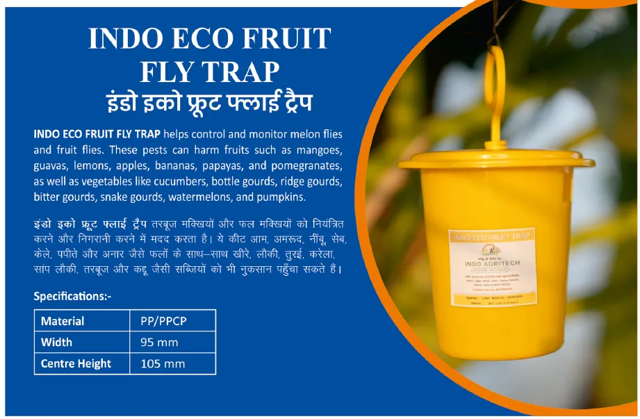 INDO ECO FRUIT FLY TRAP