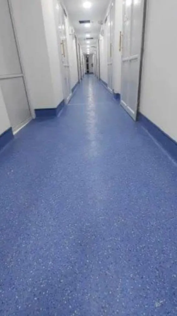 Best Homogeneous PVC Vinyl Floor Covering for Hospital Manufacturer, Trader, Dealer, Supplier