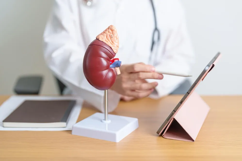 Gall Bladder Stone Treatment in Pimple Nilakh – Safe and Effective Care