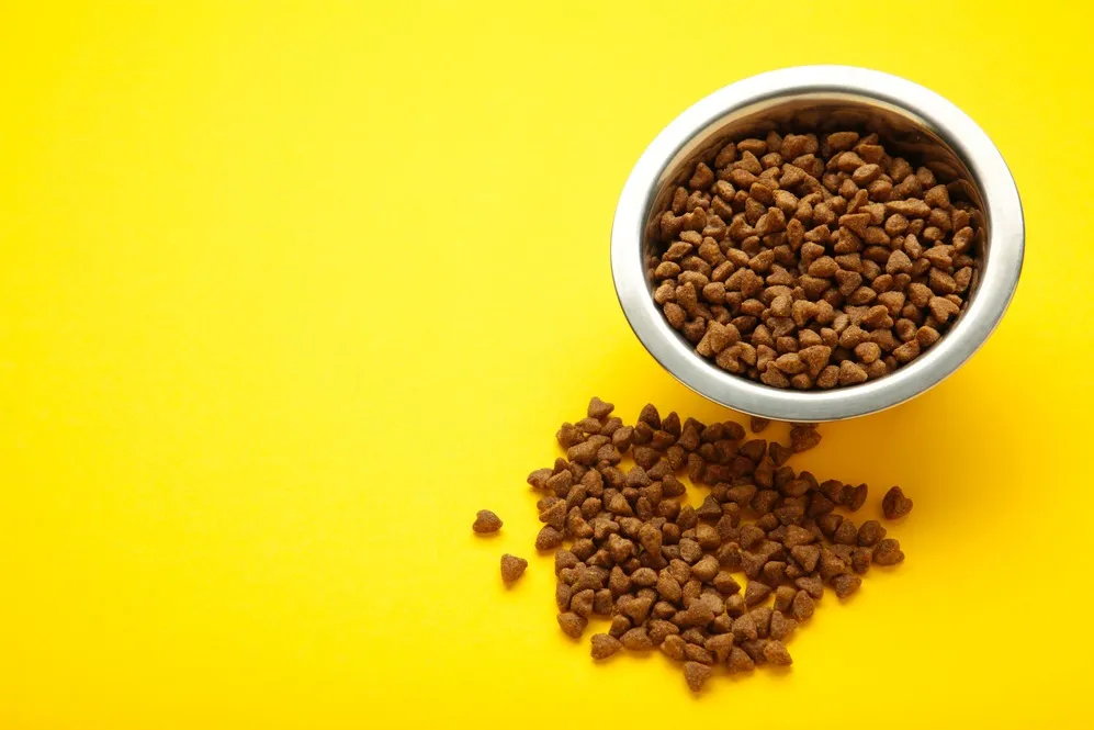 Drools Pet Food in Malad, Mumbai – Affordable and Nutrient-Rich