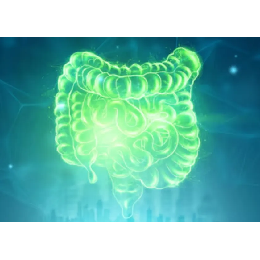 Irritable Bowel Syndrome (IBS) Relief in Mumbai