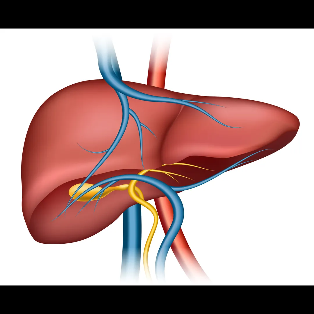 Personalized Integrative Liver Care in Mumbai