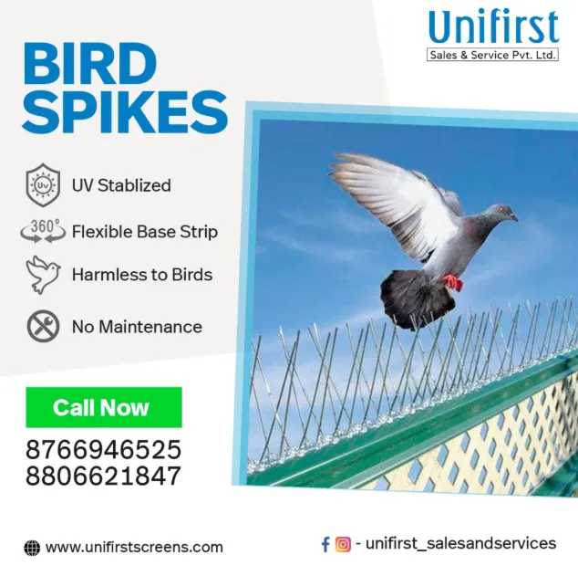 Bird Spikes in Nagpur