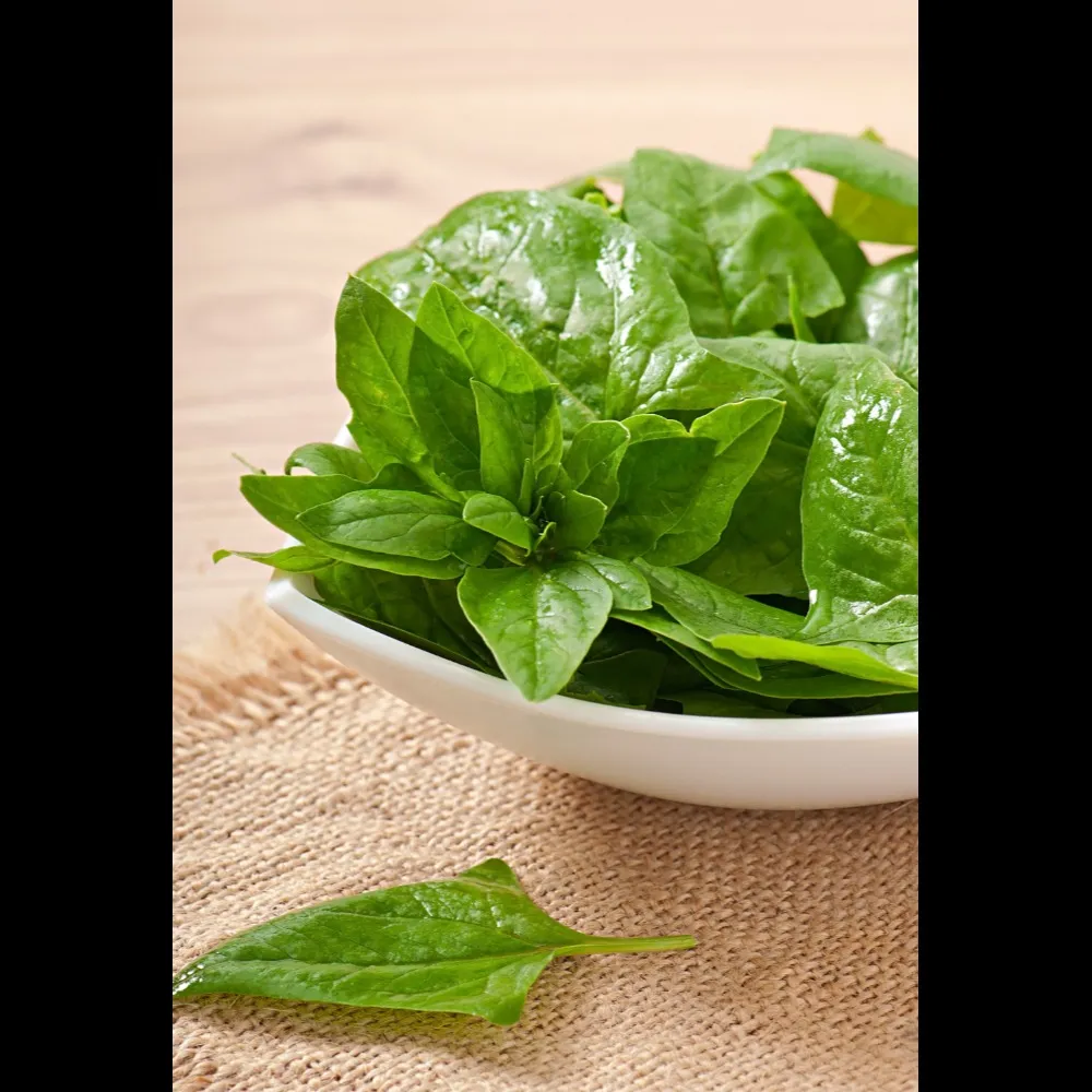 Basil in Purasaiwalkam – Aromatic Culinary Delight