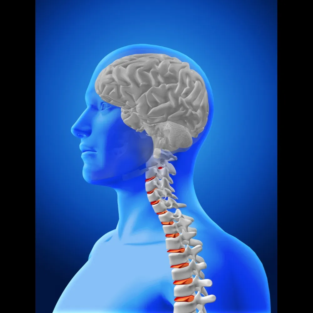 Brain and Spine Surgery in Narayangaon Junnar Rd for Complex Neurological Care