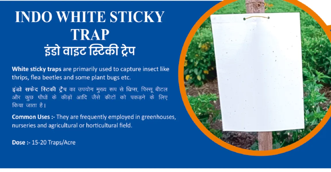 INDO WHITE STICKY TRAP