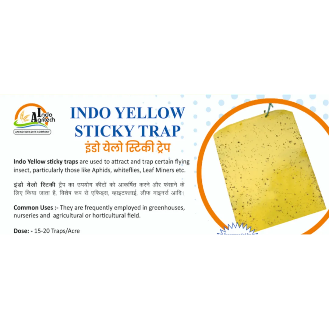 INDO YELLOW STICKY TRAP