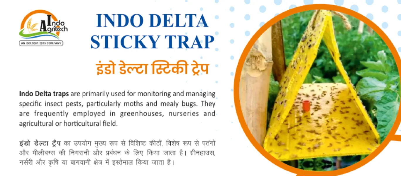 INDO DELTA STICKY TRAP
