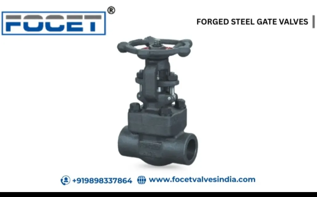 Top Forged Steel Gate Valves Manufacturers in Ahmedabad, Gujarat, India.
