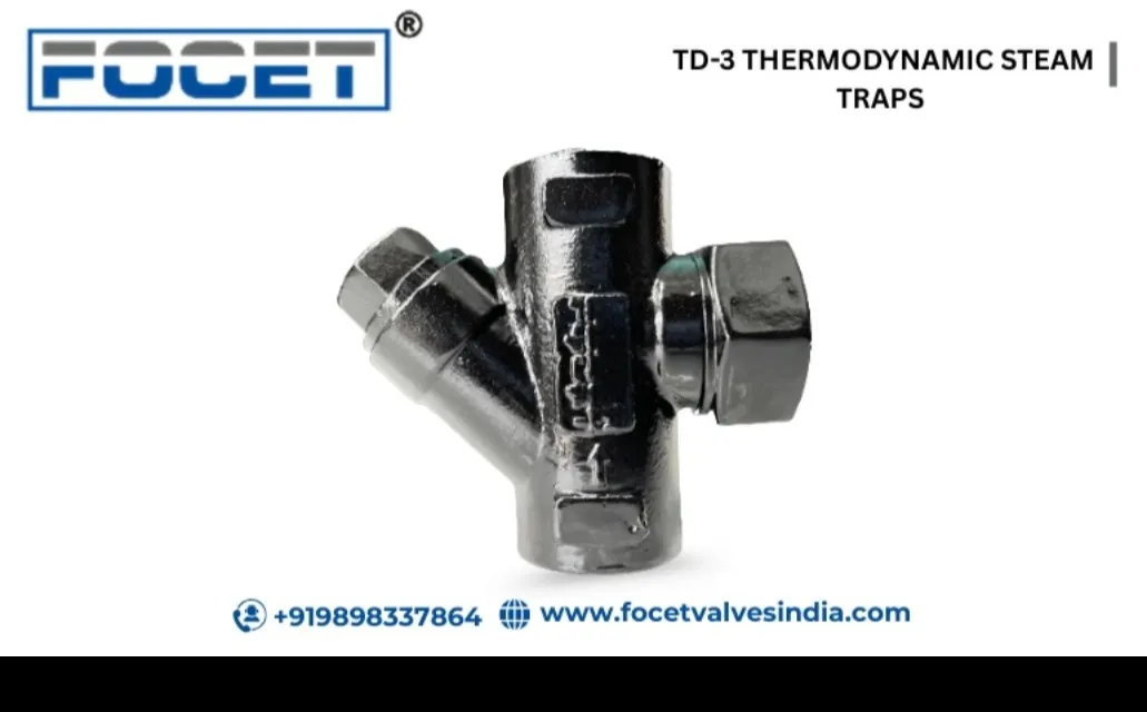 Best TD-3 Thermodynamic Steam Manufacturers in Ahmedabad, Gujarat, India.