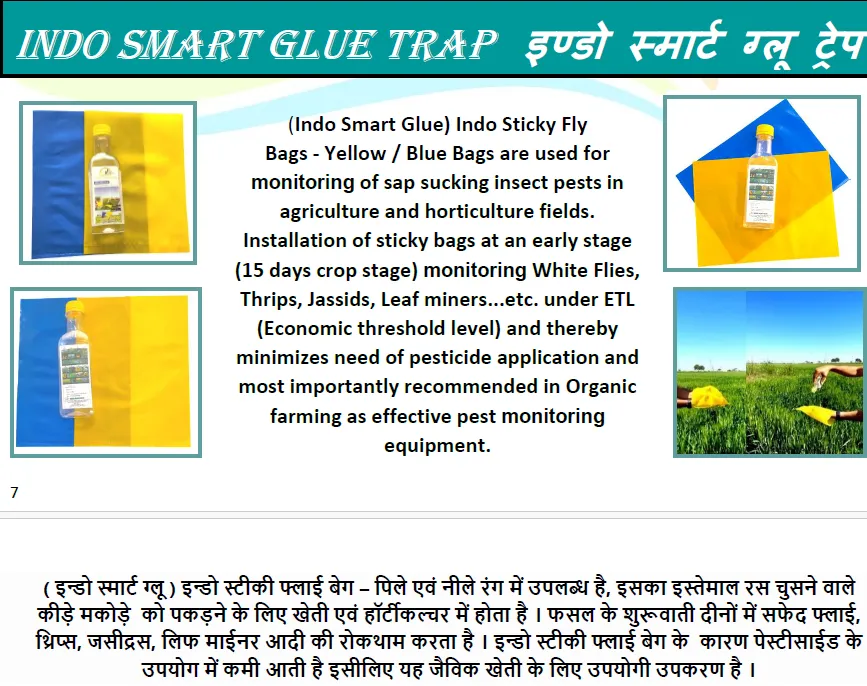 INDO SMART GLUE TRAP