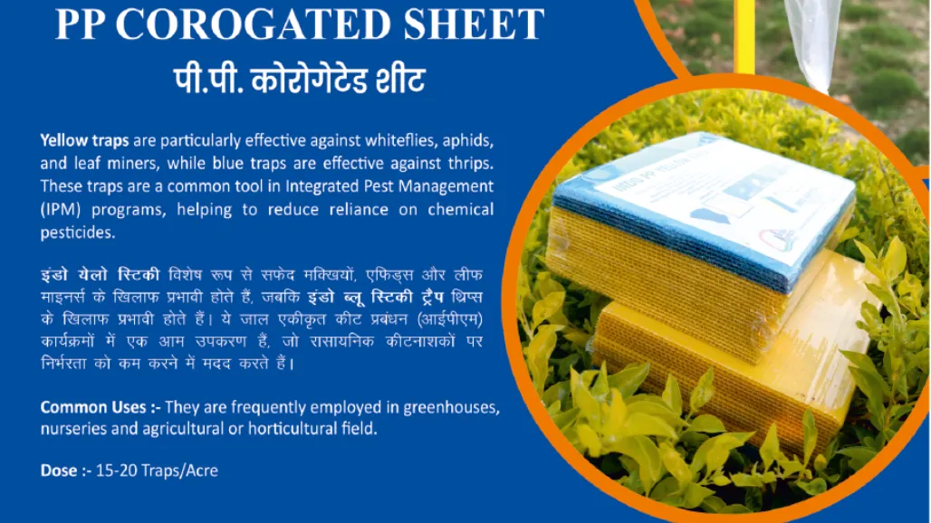 INDO PP CORROGATED SHEET TRAP