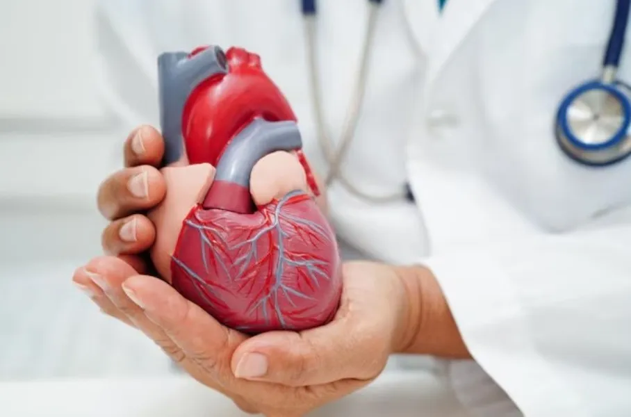 Cardiologist in Nagpur – Trusted Heart Care for Every Patient