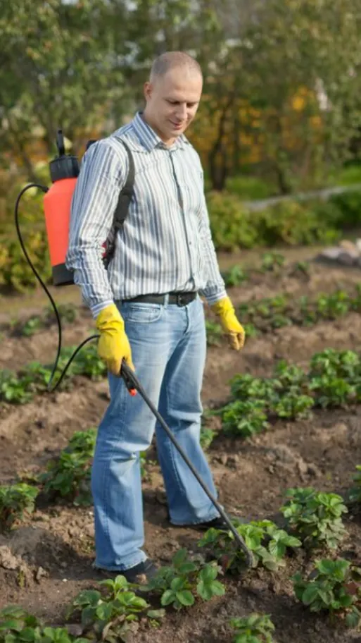 Enhance Productivity with Robust Power Sprayers in Ghaziabad
