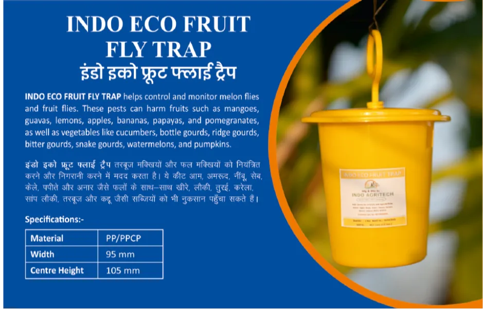 INDO ECO FRUIT FLY TRAP