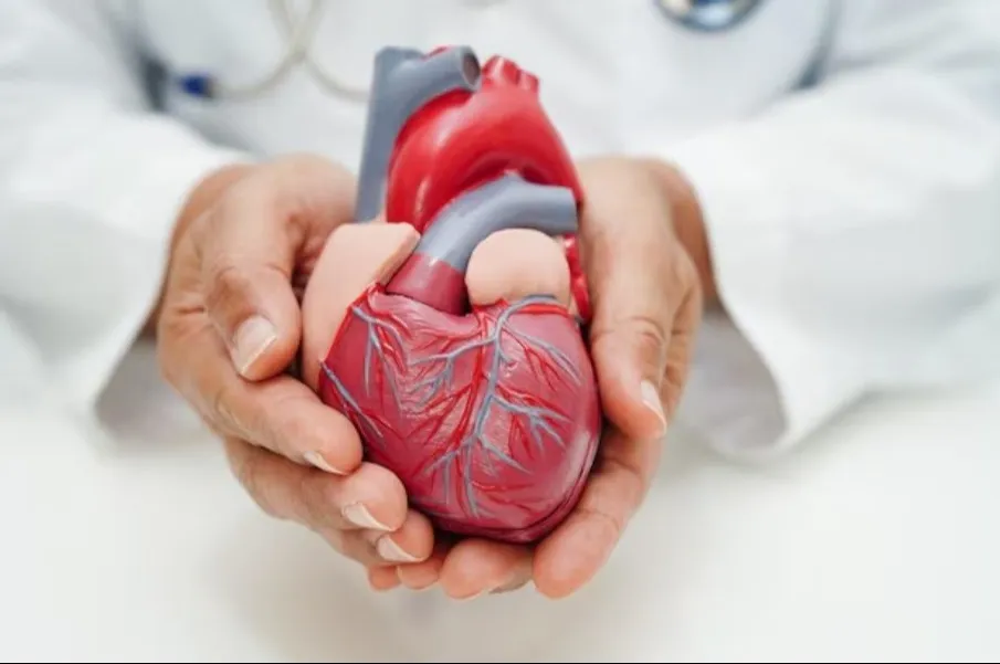Cardiologist in Aundh