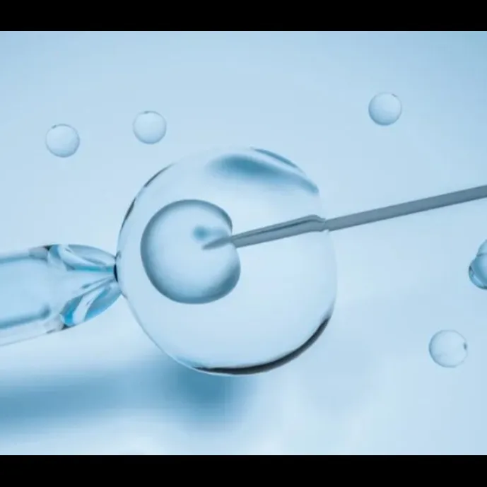 Best IVF In Nashik