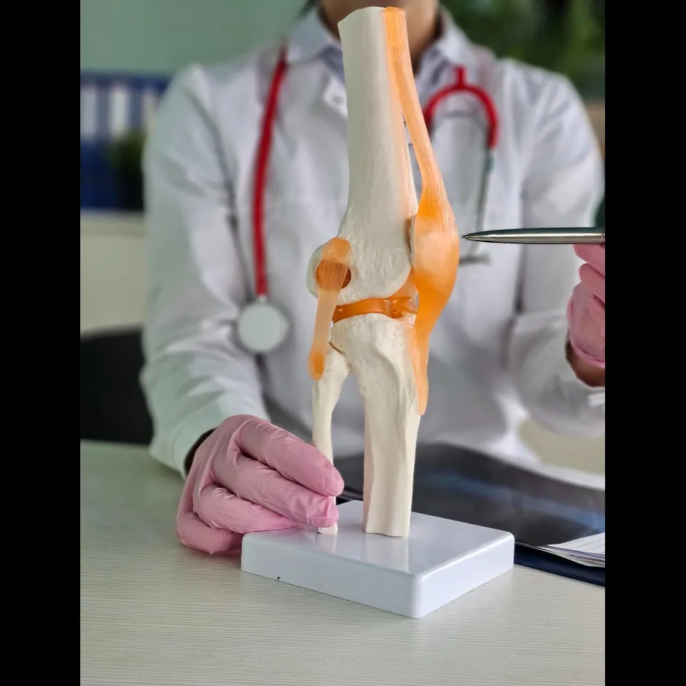 Orthopedic Doctor Noida – Comprehensive Bone and Joint Care
