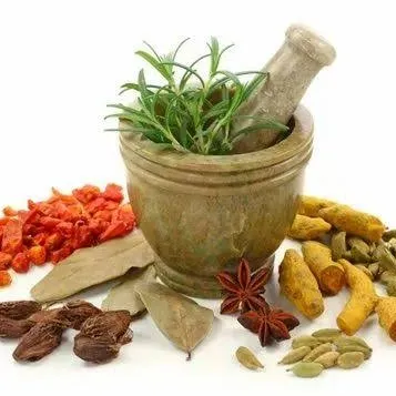 Top Ayurvedic Pharma franchise
