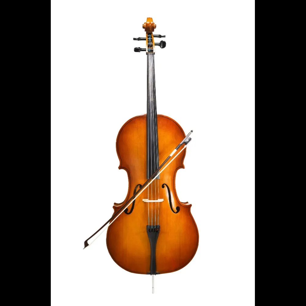Violin Dealers in Bengaluru