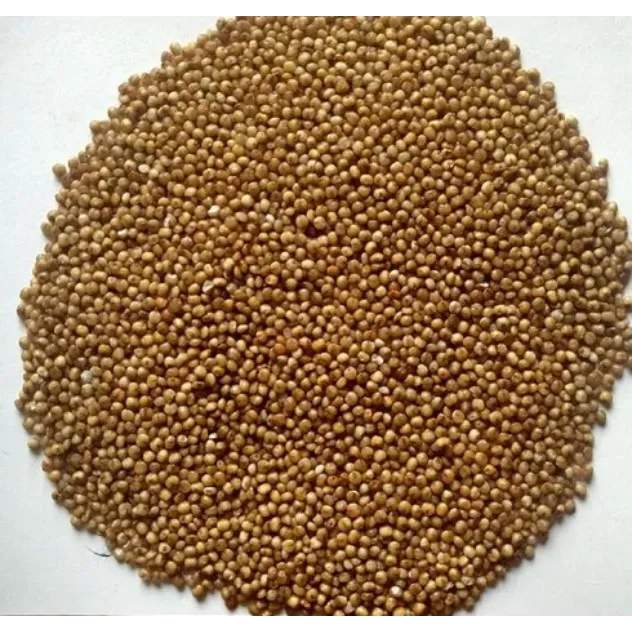 Unpolished Millet Grains in Chennai – Pure, Nutritious, and Wholesome