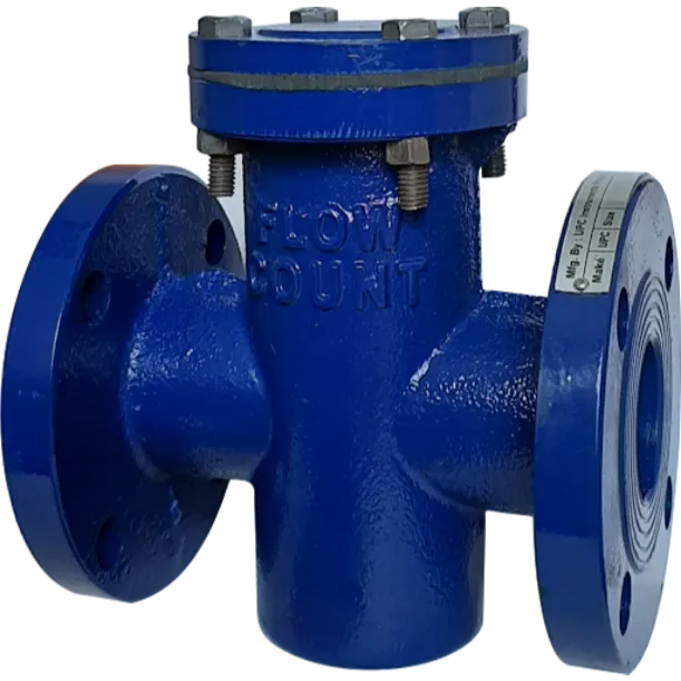 T Type Strainers in Mumbai – Clean Flow, Better Performance