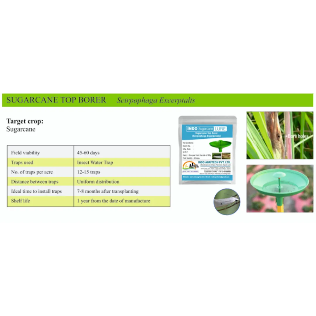 INDO SUGARCANE LURE