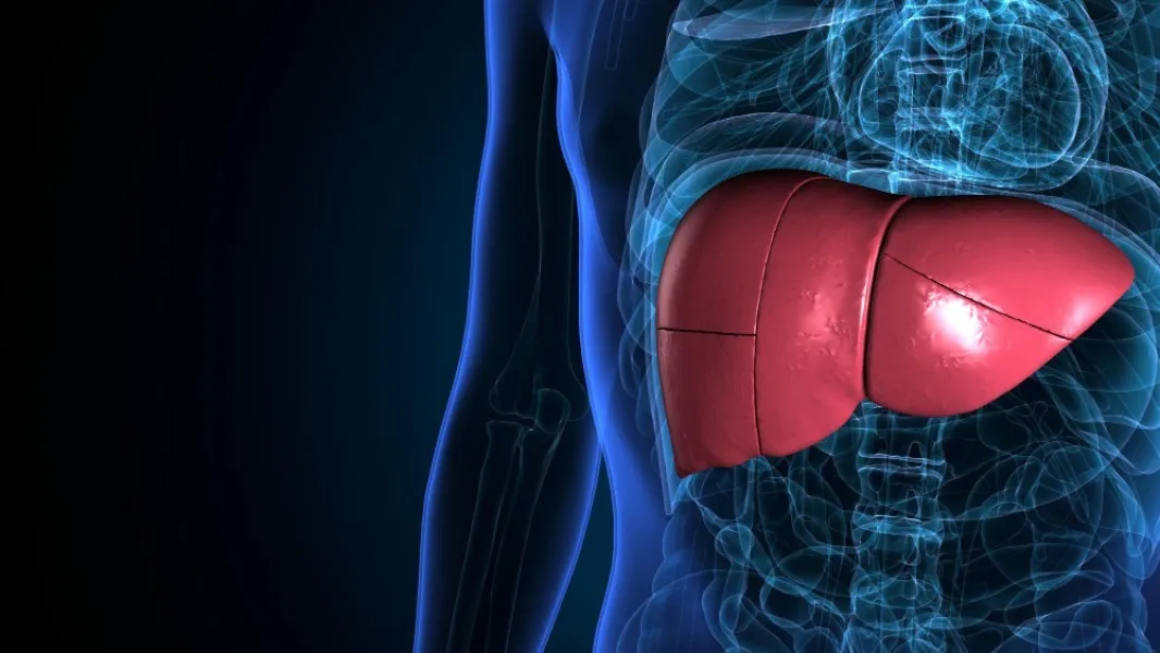 NAFLD Treatment in Mumbai