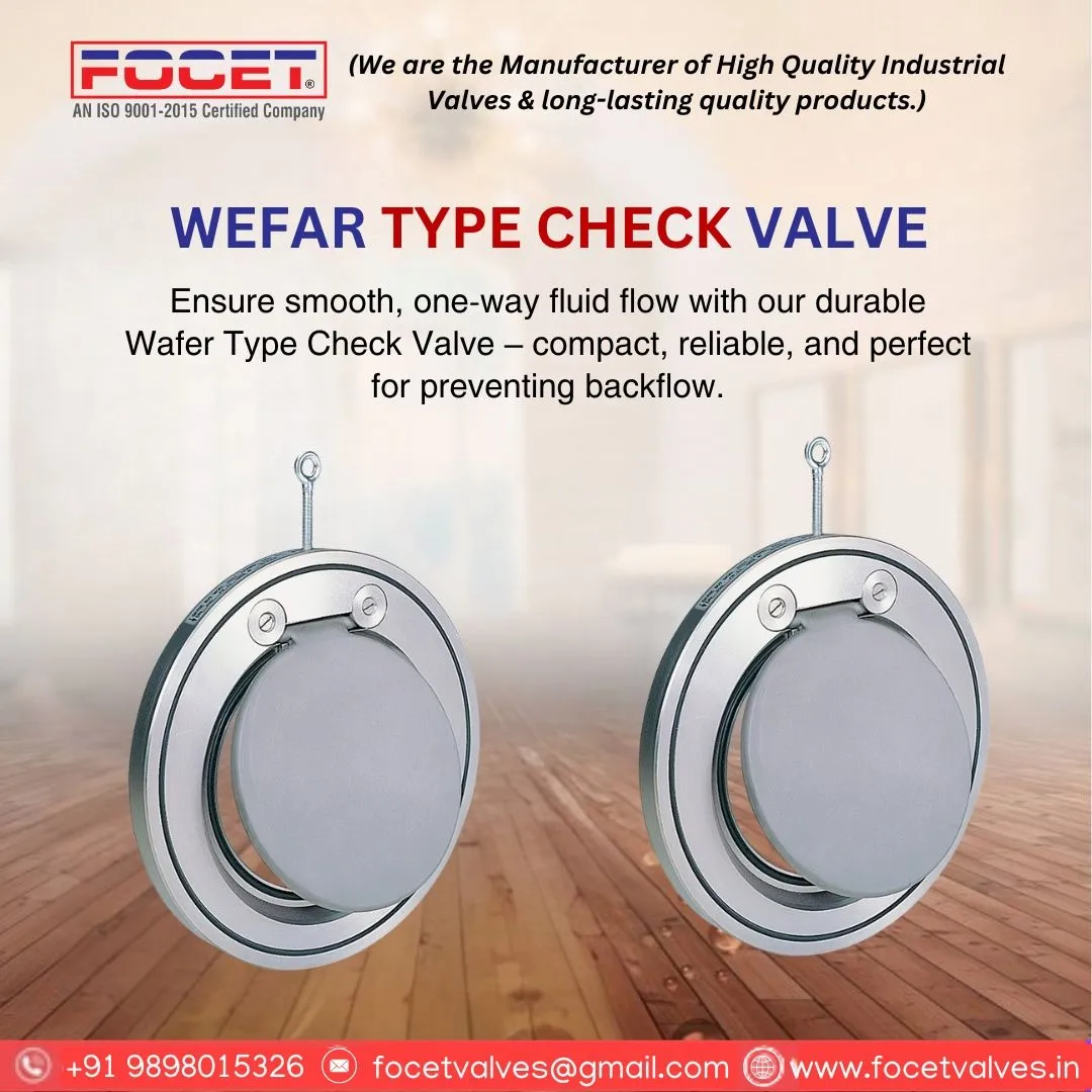 Top Wefar Type Check Valve Manufacturers in Ahmedabad