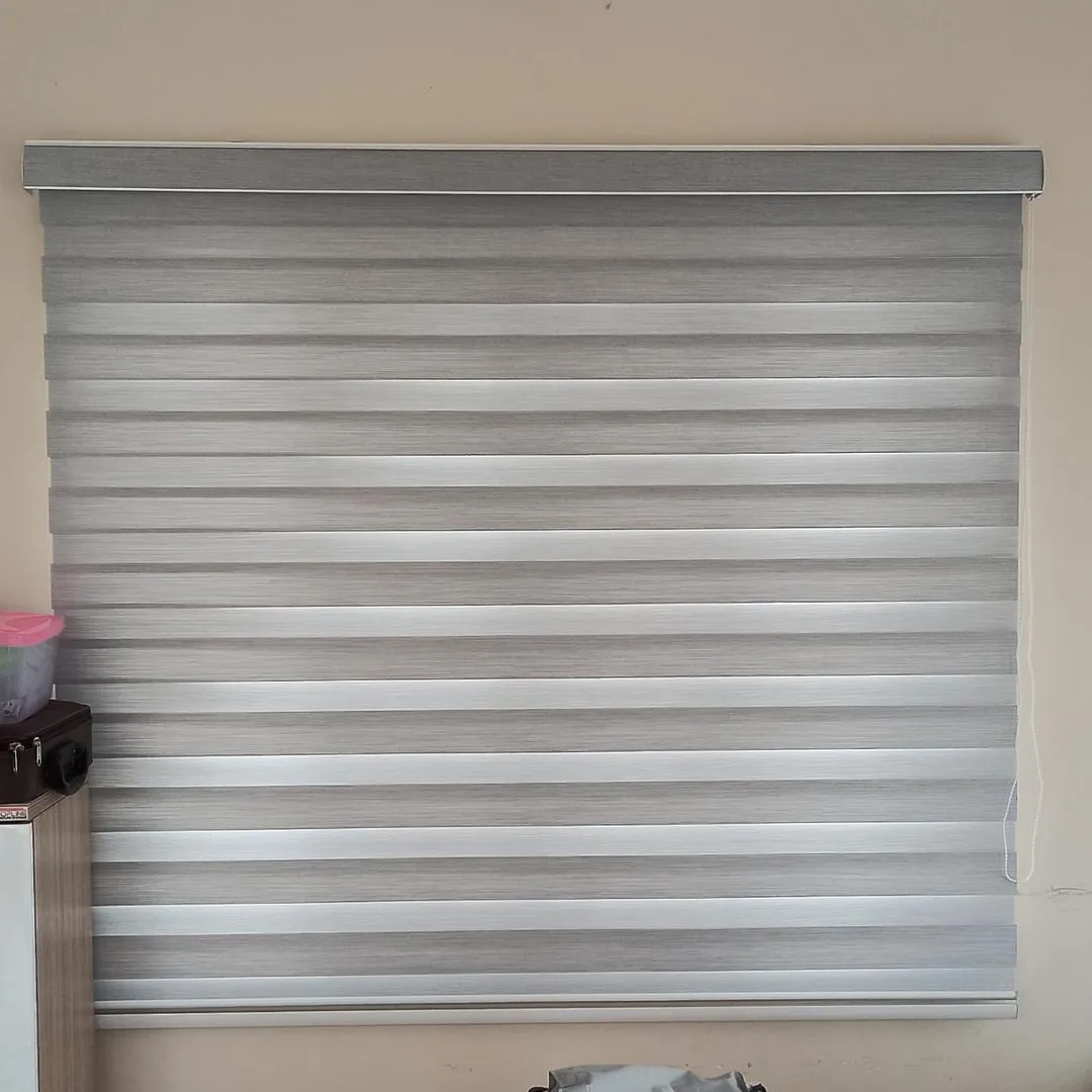 ZEBRA BLINDS interior blinds