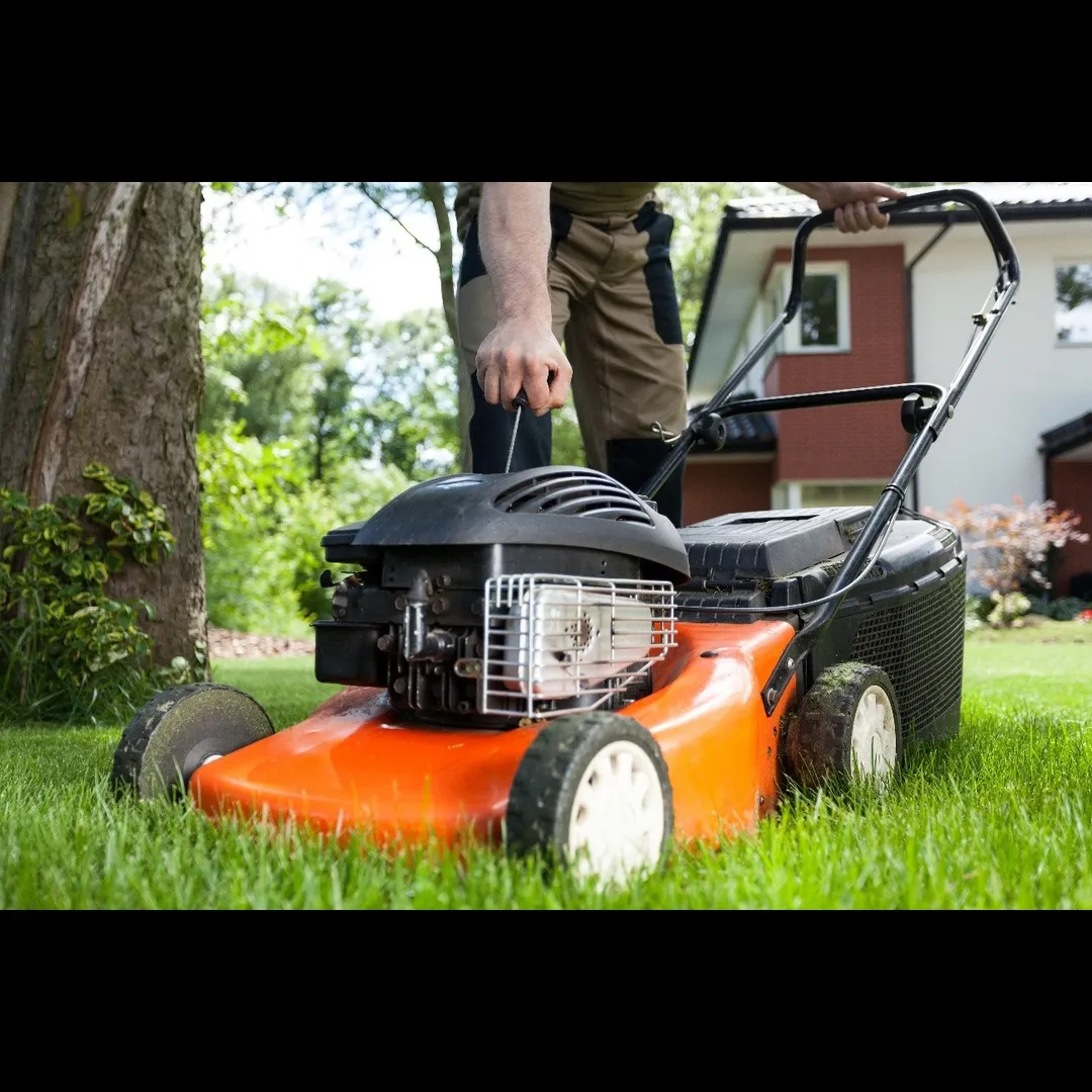 Affordable Lawn Mowers For Gardens In Delhi