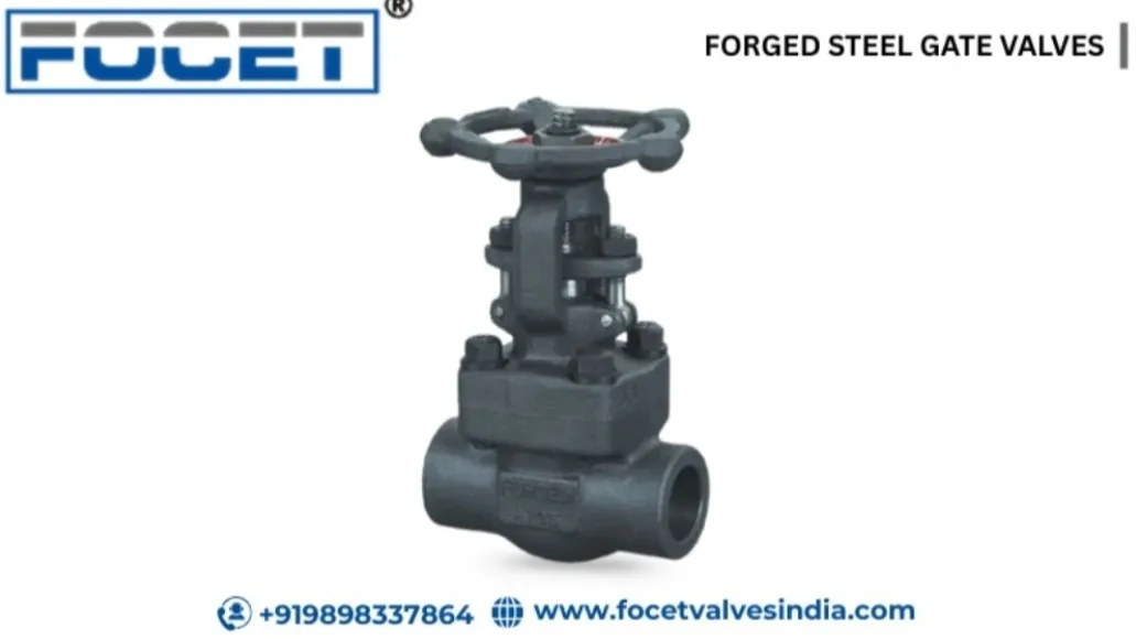 Forged Steel Gate Valves Manufacturer in Ahmedabad - Focet Valves Pvt Ltd