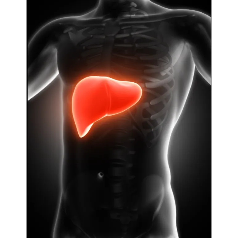 Cirrhosis Symptoms in Mumbai