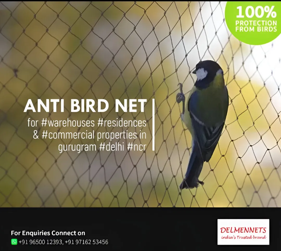 Anti Bird Net Manufacturer and Supplier in Gurgaon