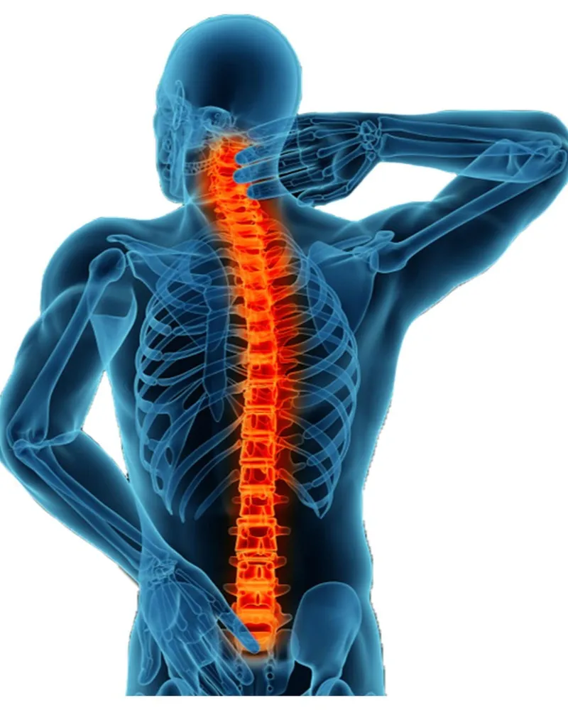 Spine Specialist Orthopedic Doctor in Nagpur – Comprehensive Back Care