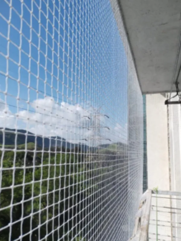 Pigeon Control Netting in Nagpur